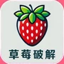 草莓破解